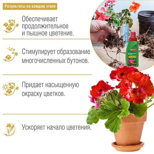 удобрение Bona Forte для декоративно-цветущих растений серия КРАСОТА удобрение Bona Forte для декоративно-цветущих растений серия КРАСОТА