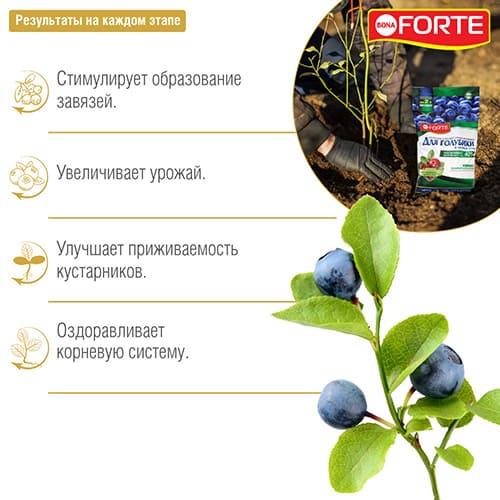 Удобрение Bona Forte для голубики и лесных ягод с биодоступным кремнием Удобрение Bona Forte для голубики и лесных ягод с биодоступным кремнием