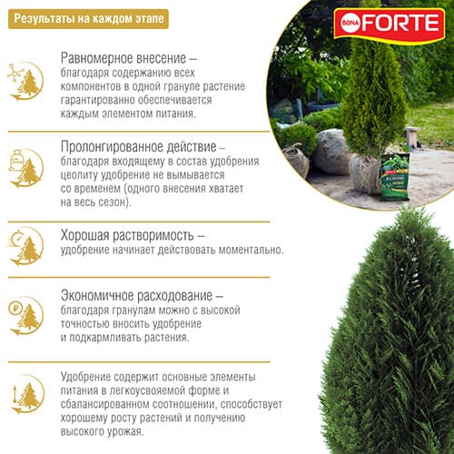 Удобрение Bona Forte хвойное с биодоступным кремнием Удобрение Bona Forte хвойное с биодоступным кремнием