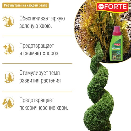 Удобрение Bona Forte от покоричневения хвои 4 в 1 Удобрение Bona Forte от покоричневения хвои 4 в 1