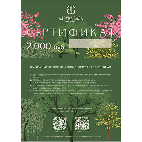 подарочный сертификат
