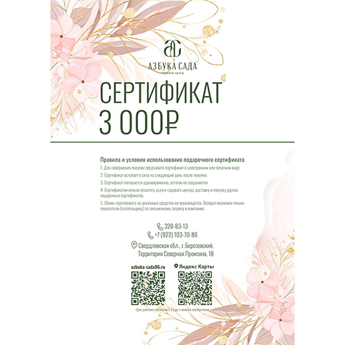 подарочный сертификат подарочный сертификат