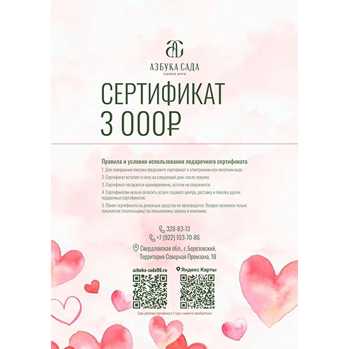 подарочный сертификат подарочный сертификат