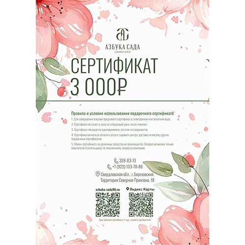 подарочный сертификат подарочный сертификат