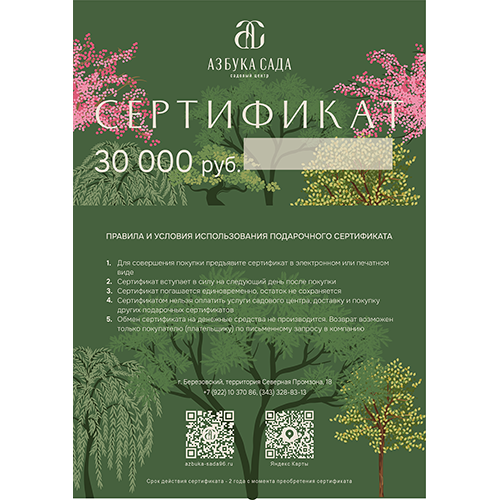 подарочный сертификат